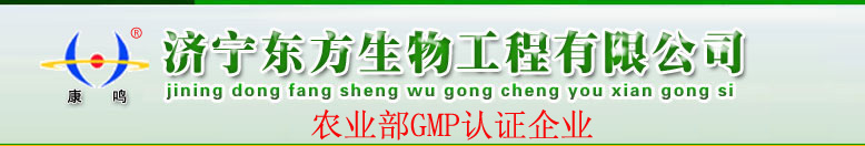 火爆網(wǎng)打造卓越團隊特訓營