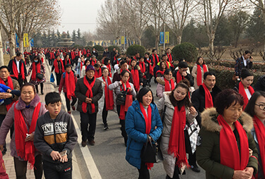 tϲc𱬾W(wng)y(tng)һoĸl(f)ϲct