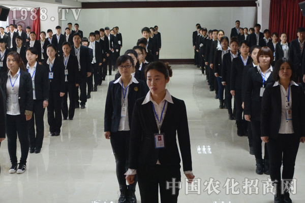 ����Љ� ���Ը���