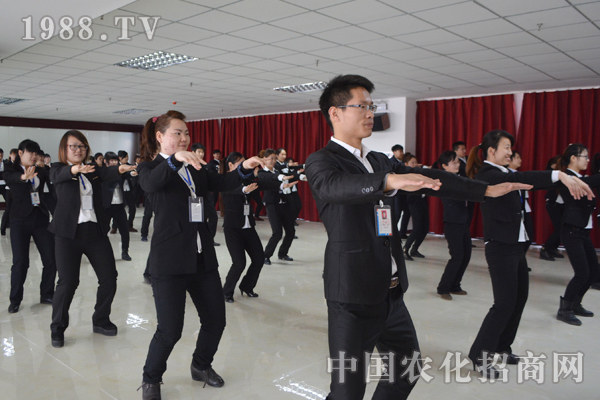 團(tuán)隊(duì)精神:不可缺少的協(xié)作