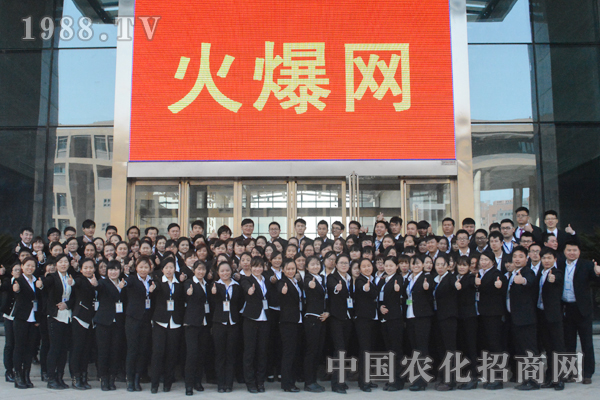 火爆網(wǎng)讓我看到了秀的團隊