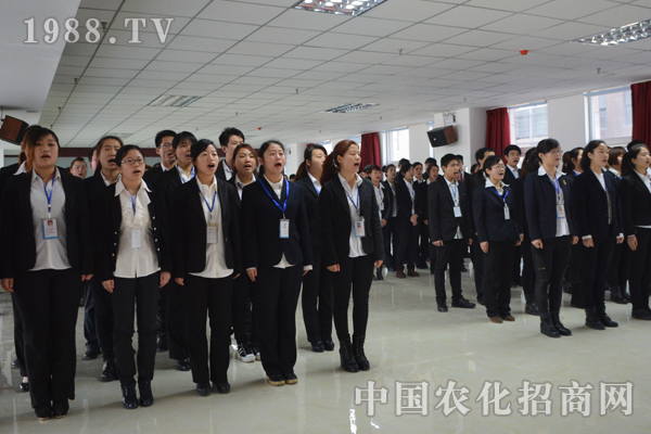 塑造堅(jiān)不可摧的狼性團(tuán)隊(duì)